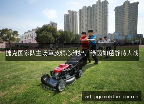 捷克国家队主场草皮精心维护，绿茵如毯静待大战